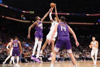 广州蒲公英 广州蒲公英